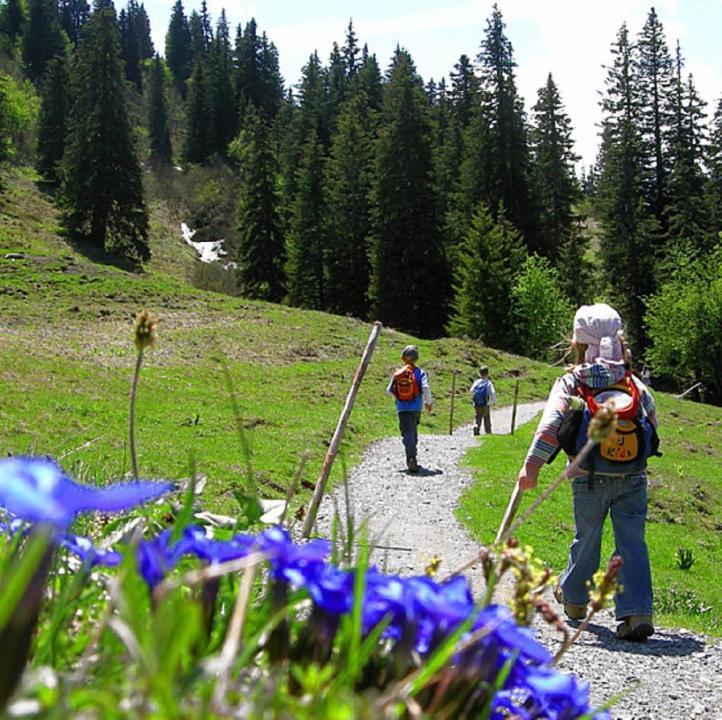 Villa Diese Einfache Unterkunft- Bergheimat Ist Nur Fuer Backpacker- Rucksacktouristen Und Radfahrer - Huettenfeeling Im Backpackerhoues- Ganz Einfach - Ganz Unkompliziert - Ganz Relaxd à Linthal Extérieur photo